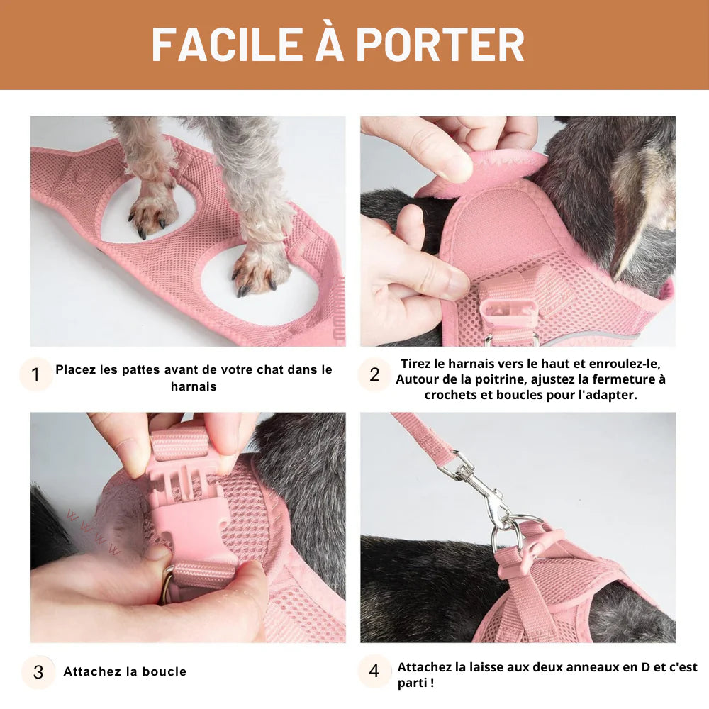 Harnais Chat Anti Fugue + Laisse Offerte SecureCat™