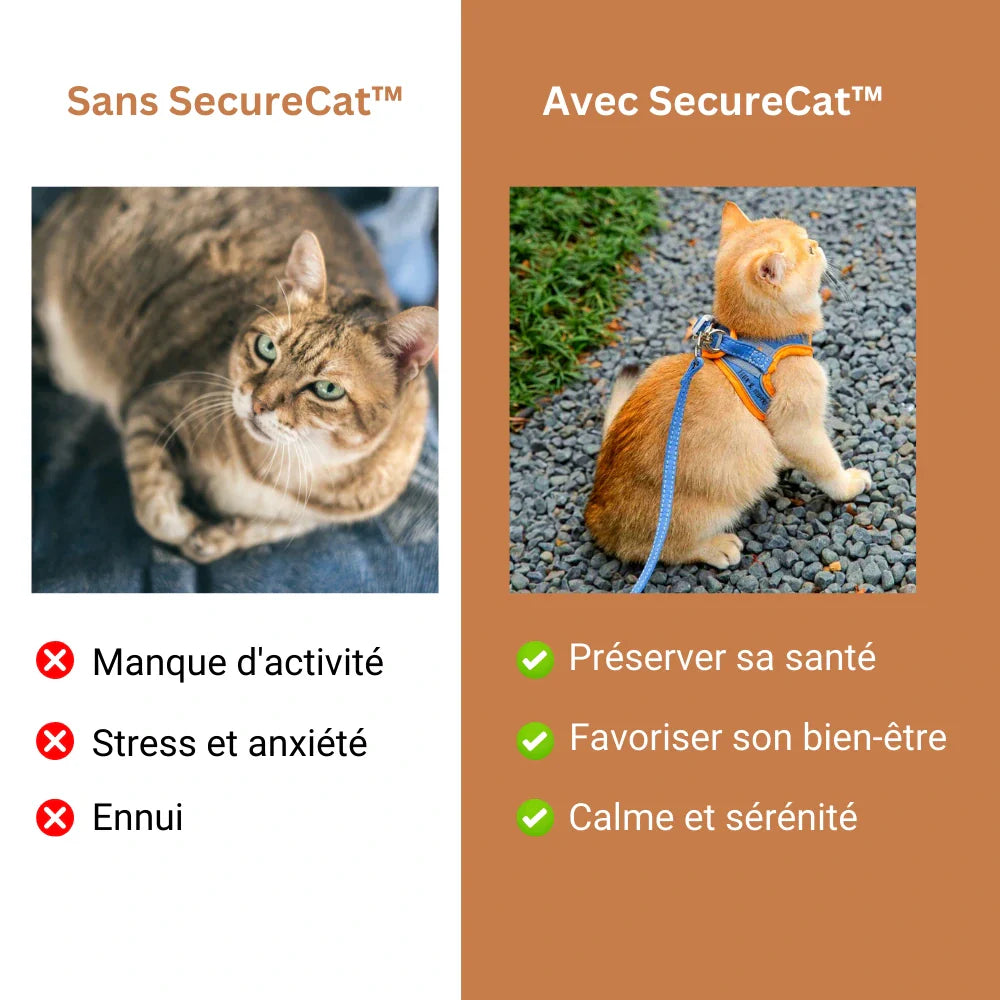 Harnais Chat Anti Fugue + Laisse Offerte SecureCat™