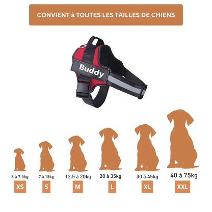 Harnais Prénom Anti Traction Pour Chien