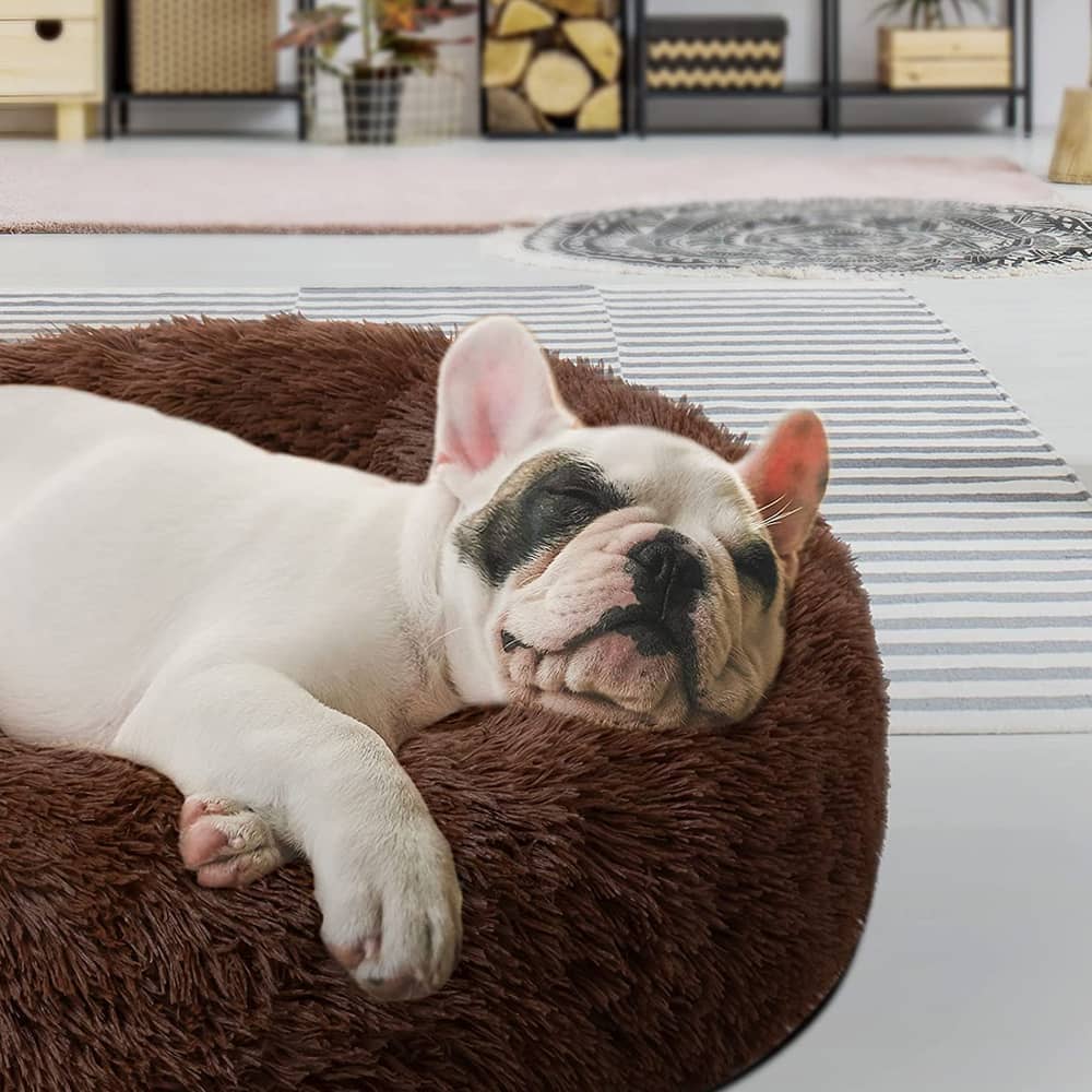 The Original Donut Dog Bed | Calming Anti-Anxiety Bed for Ultimate Comfort