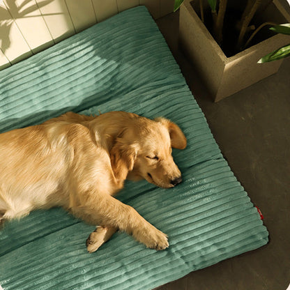 Large Dog Bed for Comfortable Sleep