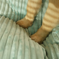 Large Dog Bed for Ultimate Comfor