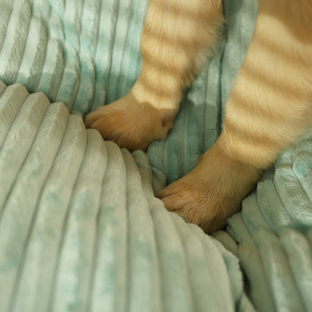 Large Dog Bed for Ultimate Comfor