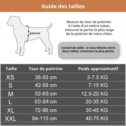 Harnais Prénom Anti Traction Pour Chien