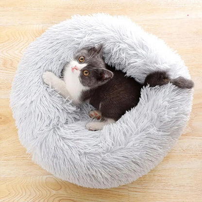 Coussin apaisant Pour Chat