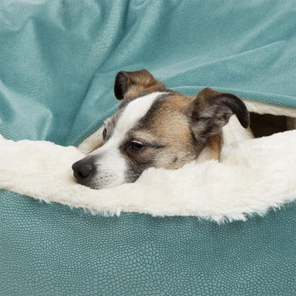 Cozy Dog Cave Bed for Peaceful Sleep