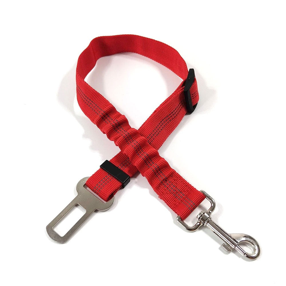 Ceinture de sécurité pour Chien