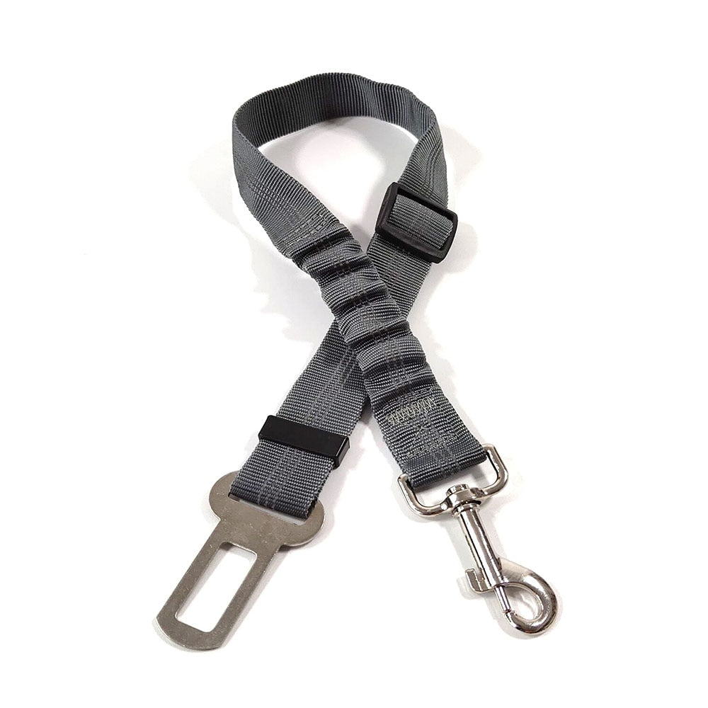 Ceinture de sécurité pour Chien