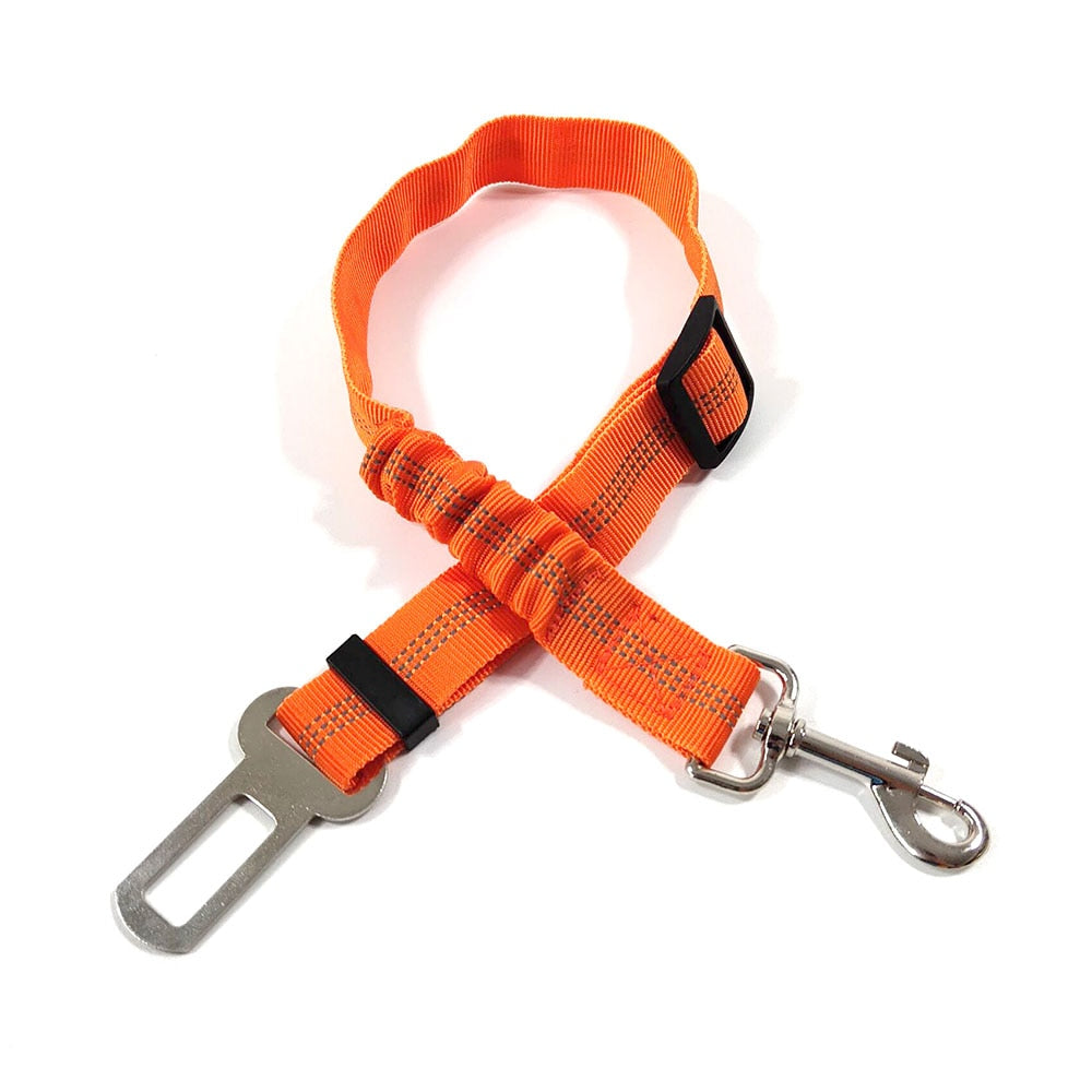 Ceinture de sécurité pour Chien