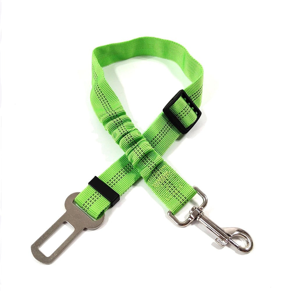 Ceinture de sécurité pour Chien