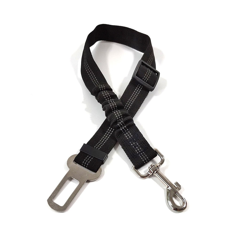 Ceinture de sécurité pour Chien