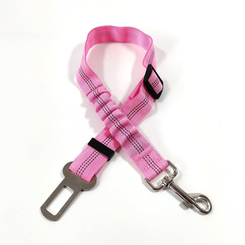 Ceinture de sécurité pour Chien