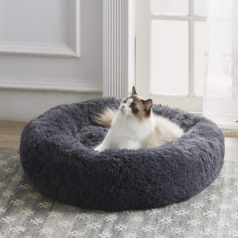 Coussin apaisant Pour Chat