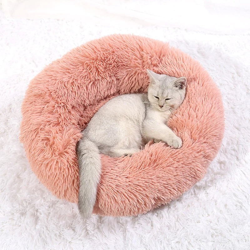 Coussin apaisant Pour Chat